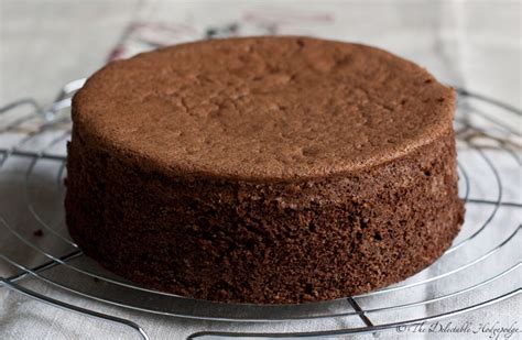 Sponge Cake Genoise Chocolat Recipe - The Delectable Hodgepodge