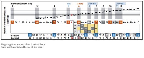 French Horn Transposition at Joshua Mederos blog