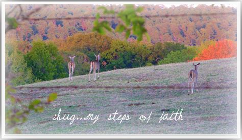 Shug...My Steps of Faith: As The Deer Panteth....