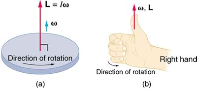 Vector Nature of Rotational Kinematics | Boundless Physics