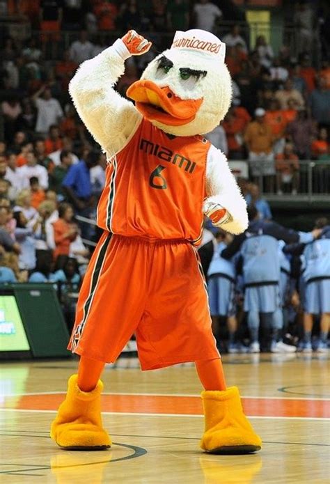 Pin by Eric Sherman on Miami Hurricanes | Mascot costumes, Mascot ...