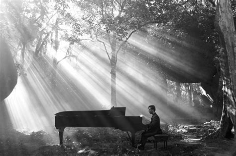 Piano in the Forest | Piano photography, Forest, Landscape