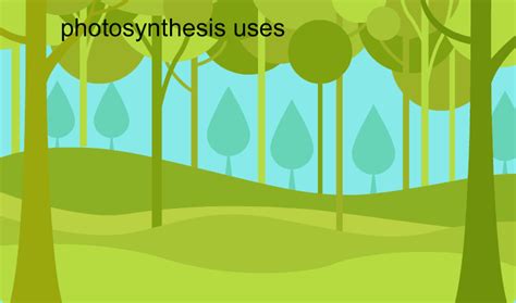 Photosynthesis Gif Image