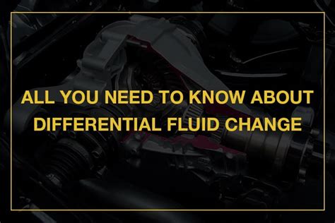 All You Need To Know About Differential Fluid Change - Oils Advisor