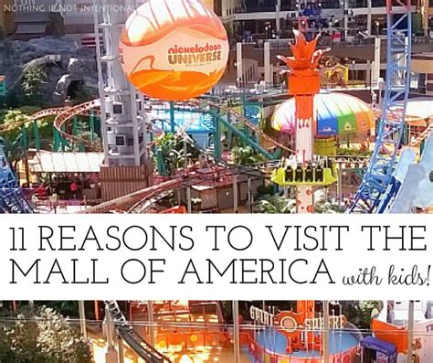 11 Things to Do at the Mall of America (that don’t require a car ...