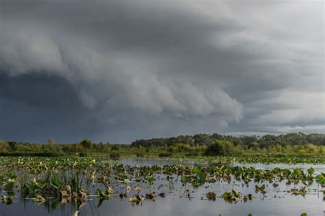 The monsoon arrives over northern Australia