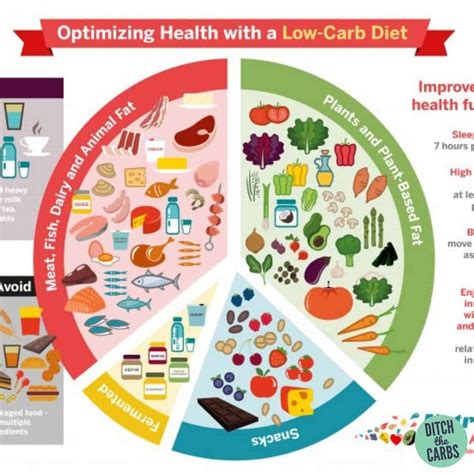 Benefits of Low Carb Diet - XanderHerbs