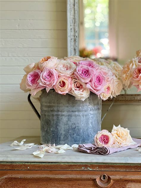 Spoil Yourself With Heirloom Roses - MY 100 YEAR OLD HOME