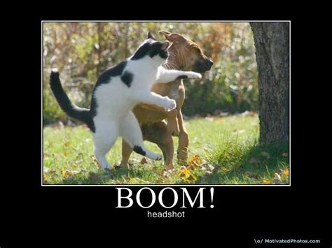 [Image - 8870] | Boom Headshot! | Know Your Meme