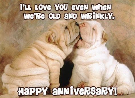 Cute Dog Anniversary Ecard, Anniversary Cards, Special Occasions Cards ...