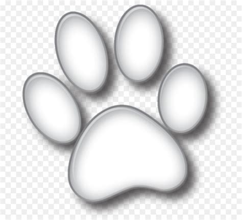 Free White Paw Print Transparent Background, Download Free White Paw Print Transparent ...