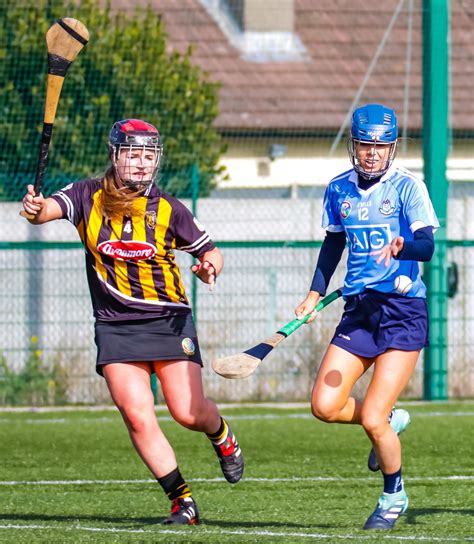 DUBLIN CAMOGIE WEEKLY NOTES | Dublin, Sports stars, Sports