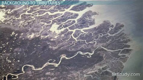 Tributary | Definition, Landforms & Examples - Lesson | Study.com