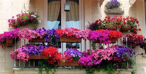 Best designs for balcony gardening — Homebnc