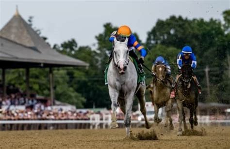 White Abarrio is the top older horse in Classic division