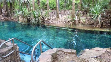 Mataranka Thermal Springs - Swim Map