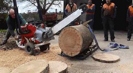 African-round-logs-for-sale GIFs - Get the best GIF on GIPHY