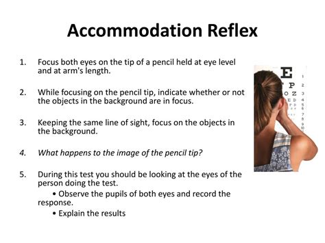 PPT - The Reflex Arc PowerPoint Presentation, free download - ID:1953829