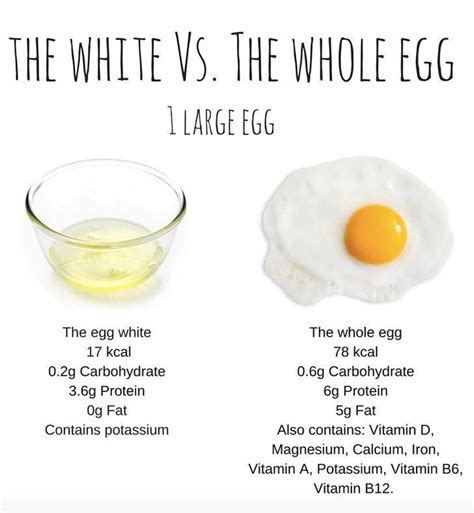 Fried Egg White Nutrition - Effective Health