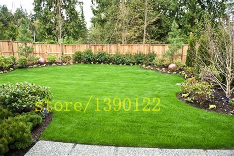 Best 500 grass Green Source Turfgrass grass Seeds Evergreen Lawn Seeds ...