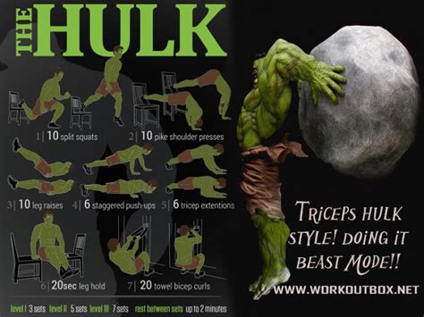 The HULK Workout Plan - Healthy Fitness Training Tricep Bicep Ab ...