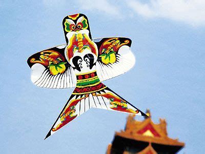 Chinese Kite, History of Chinese Kite, How to make a Chinese Kite ...