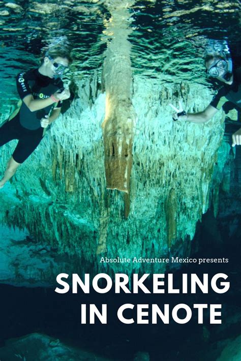 Snorkeling in Cenote should be on top of your bucket list | Snorkeling, Best snorkeling, Riviera ...