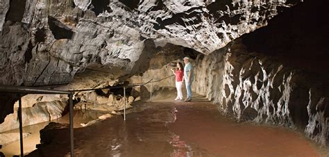 Lehigh Valley attractions adapt to pandemic - The Brown and White