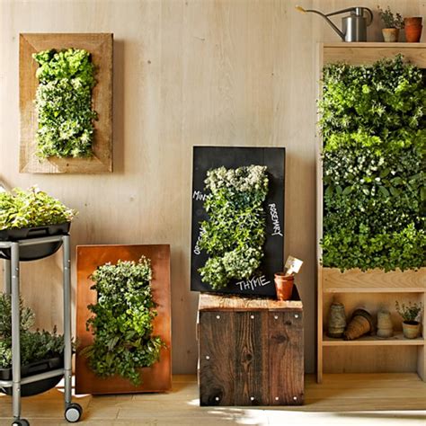 8 Simple Ways To Create An Indoor Vertical Garden In Your Home