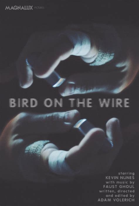 Bird on the Wire Poster 1: Full Size Poster Image | GoldPoster