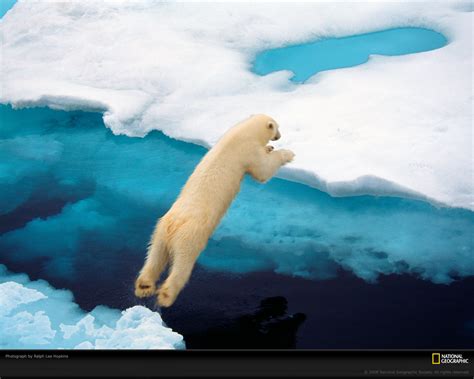 National Geographic Photos - National Geographic Wallpaper (12536758 ...