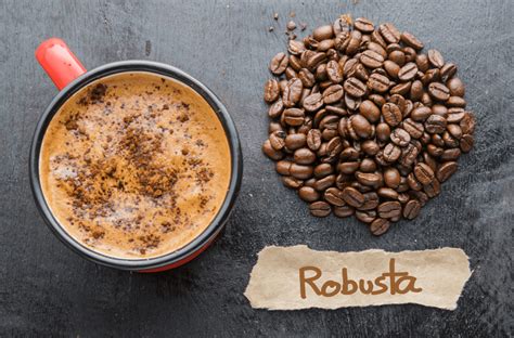 6 Best Robusta Coffee Brands For A Powerful Wake-up Call