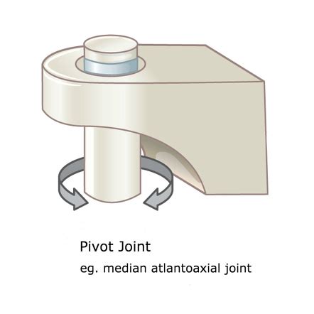 Pivot Joint Neck