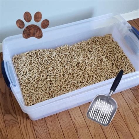 DIY Sifting Cat Litter Box for Pine Pellets