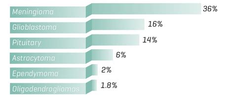 Brain Tumor Types