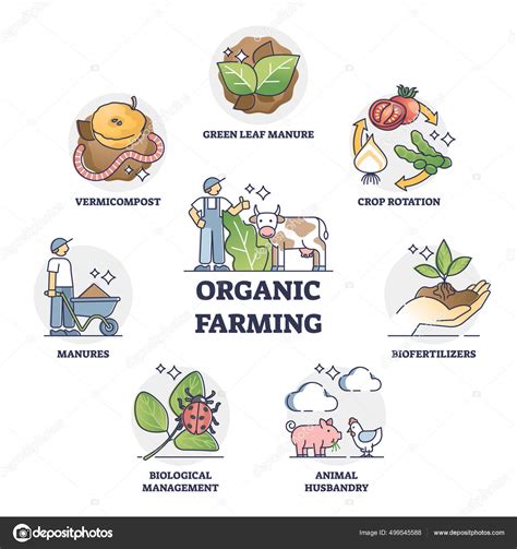 Details 149+ drawing poster on organic farming - seven.edu.vn