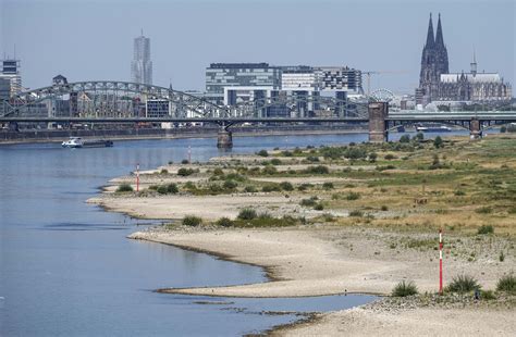 Rhine River could fall below critical mark, risking industry | Flipboard