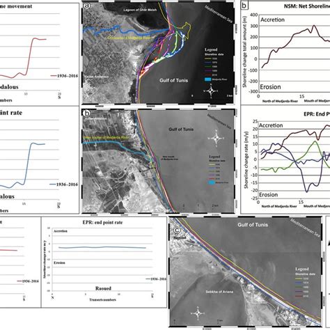 The diachronic shoreline evolution analysis at the deltaic and sandy... | Download Scientific ...