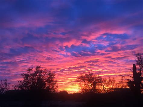 Incredibly beautiful morning sky | Araminta House