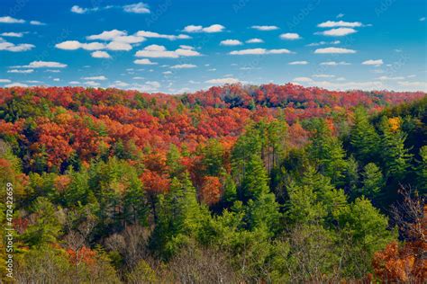 Beautiful fall colors at Red River Gorge, KY. Stock Photo | Adobe Stock