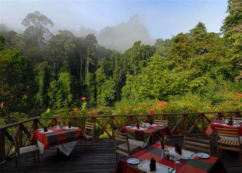 Borneo Rainforest Lodge | Hotels in Danum Valley | Audley Travel US