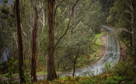 Victorian Alps – Alto Cycle Tours