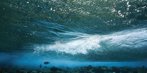 Ocean Pictures Underwater