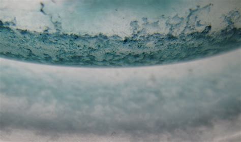 Sarah Langford: EVAPORATION EXPERIMENTS ON GLASS