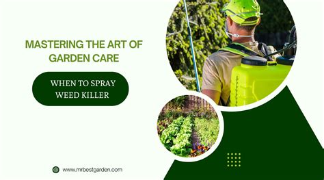 Mastering the Art of Garden Care: When to Spray Weed Killer