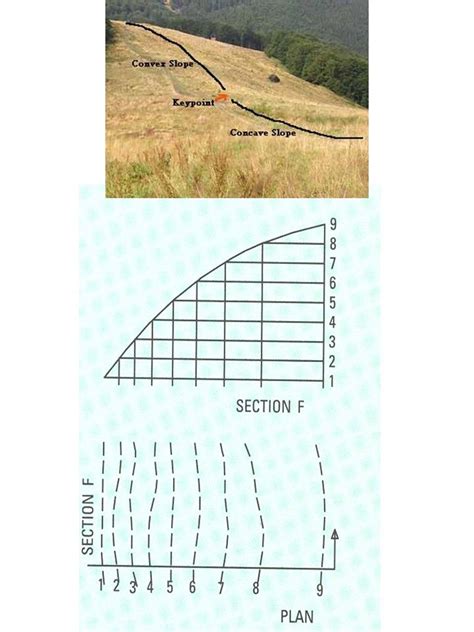 Convex slope in plan view and section elevation | How to plan, Landscape structure, Slopes