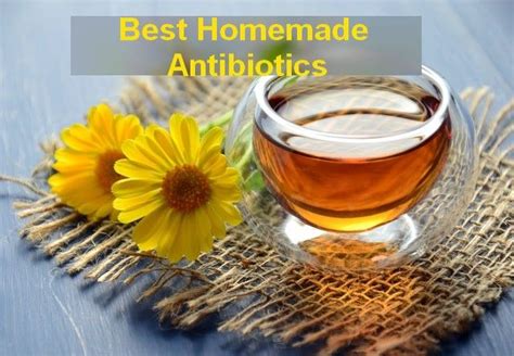 Homemade Antibiotics | Herbal detox tea, Herbal detox, Herbalism