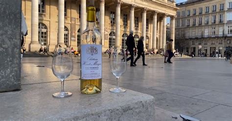 Discover the wines of Bordeaux - History & Wine Walking Tour - Guided ...