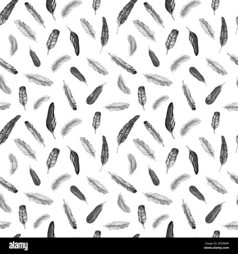 Hand drawn fashion seamless pattern with feathers. Vintage background Stock Photo - Alamy