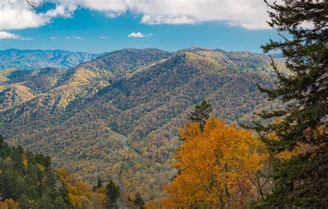 12 Surprising Facts About The Mountains In Tennessee - Tourism Teacher